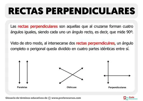 Preguntas y respuestas sobre vectores perpendiculares