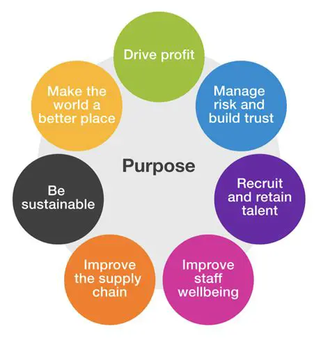 Purpose and Benefits of SPI in Salary and Wage Management