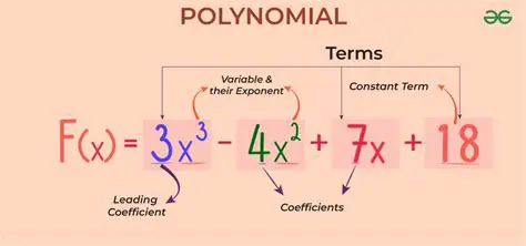 Recalling the Properties of Polynomials