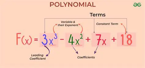 Recursive Definition of the Polynomial