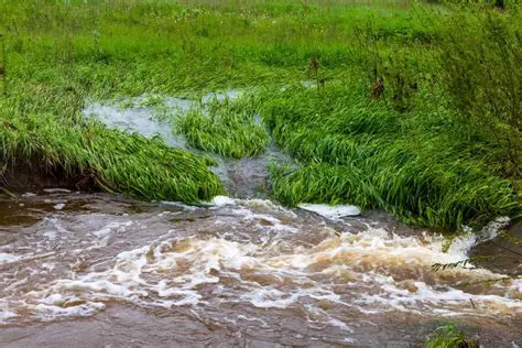 Reducing Nutrient Pollution