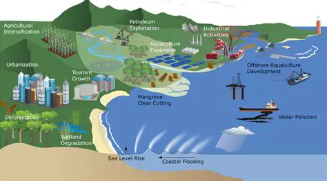 Regular monitoring and analysis of coastal changes