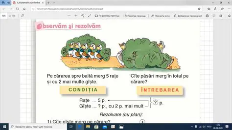 Rezolvarea Complete a Problemei