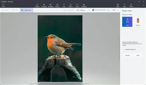 Selection Options in Paint
