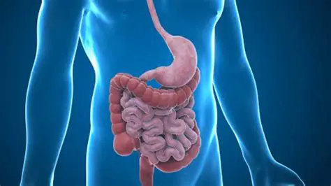 Sintomas Gastrointestinais