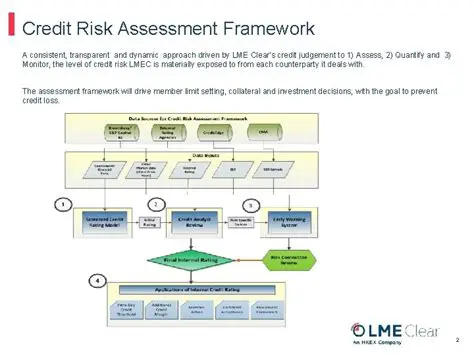Strengthen the initial credit assessment process