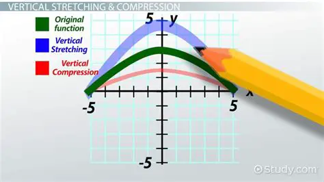 Stretching or Compressing the Function