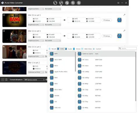 Support for multiple output video formats
