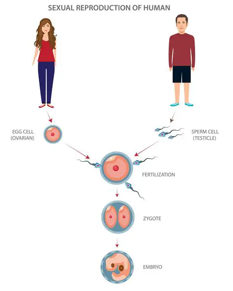 Symptoms and Reproduction Steps