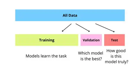 Test and validate assumptions
