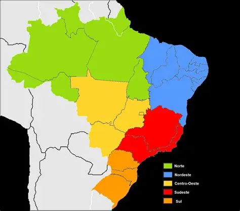 The Brazilian Regional Division