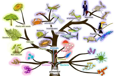 The Concept of Common Ancestry