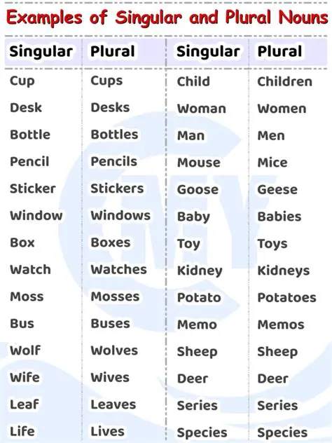 The Concept of Singular and Plural Names