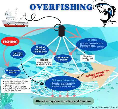 The Consequences of Overfetching