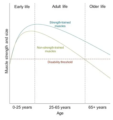 The Decline of Physical Strength