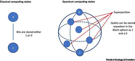 The Distributed Quantum Algorithm