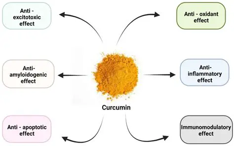 The Effect of Curcumin Eye Drops on Healing Corneal Laceration Wounds