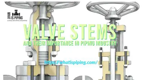 The Importance of Lower Stem Diameter