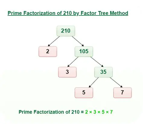 The Importance of Prime Factorization