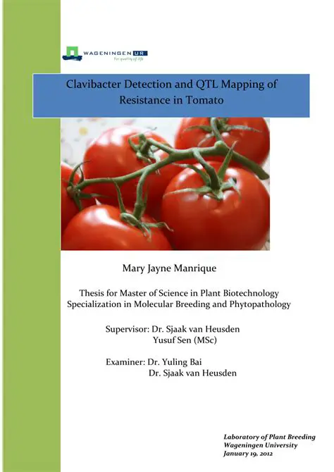 The Importance of Resistance in Tomato Varieties