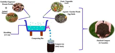 The Importance of Straw Compost in Rice Production