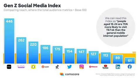 The Importance of Studying New Media Use among Millennials