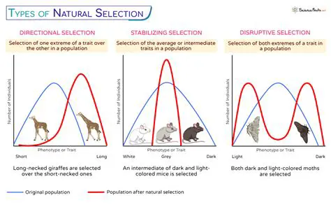 The Mechanisms of Natural Selection