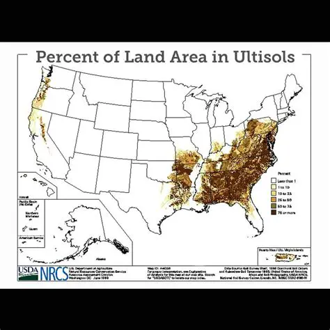 The Problem of Ultisol Soil