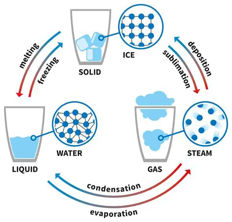 The Reason Behind Their Liquid State