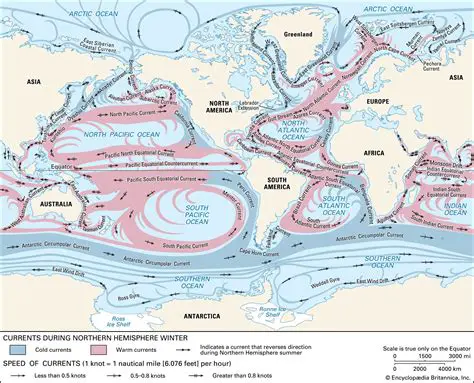 The Role of Ocean Currents in Shaping Coastal Climates