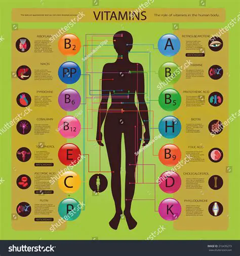 The Role of Vitamins in the Human Body