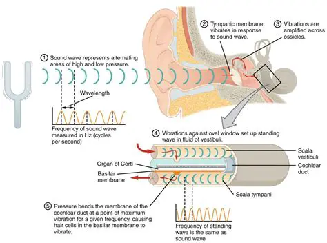 The Use of Sound and Structure