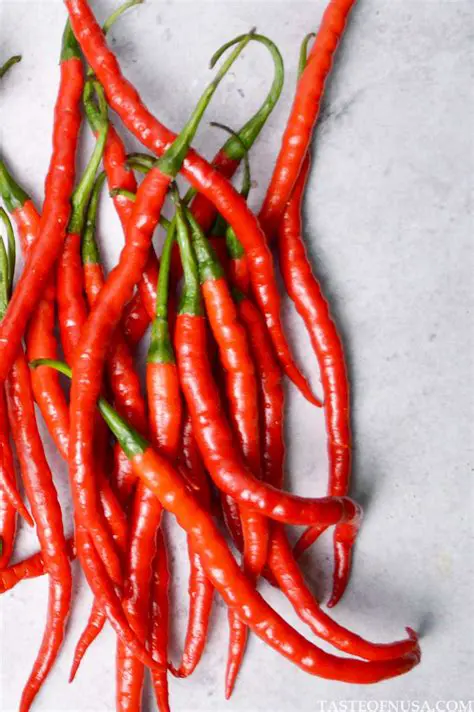 To describe the current curly red chili marketing system in Karo Regency