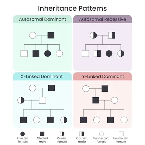 Types of Inheritance Patterns