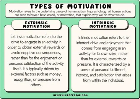 Understand their motivations