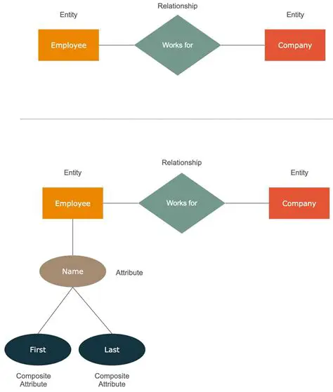 Understanding Entities and Fields
