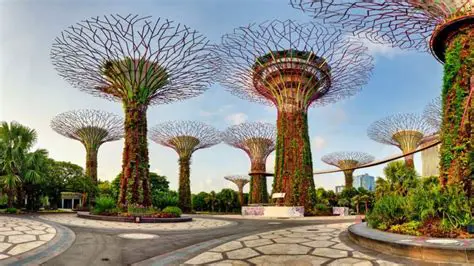 Understanding IRAS: Navigating Singapore's Tax Landscape