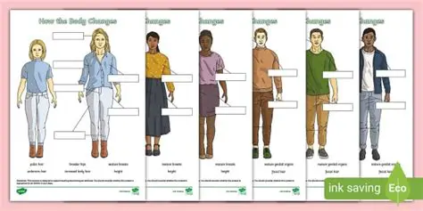 Understanding the Changes in Class 11