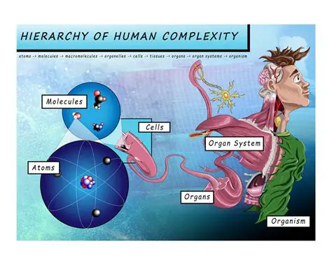Understanding the Complexities of Human Thought
