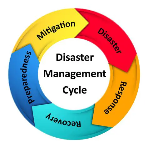 Understanding the Disaster