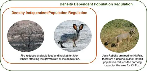Understanding the Dynamics of Population in Ecosystems