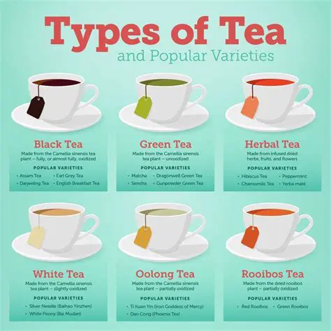 Understanding the Importance of Tea Types and Fermentation Duration