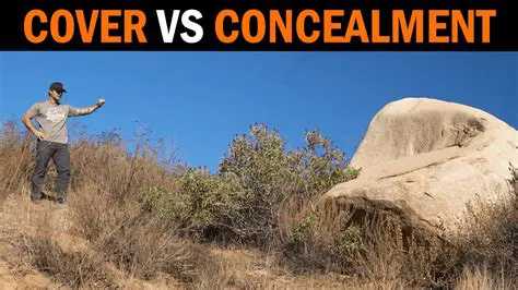 Use cover and concealment to your advantage