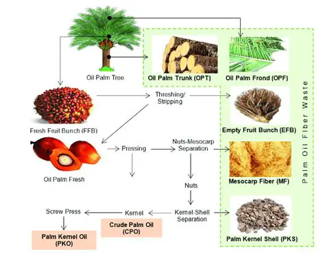 Utilization of Fermented Palm Oil Palm Flour