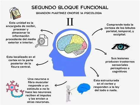 Volumen del Segundo Bloque